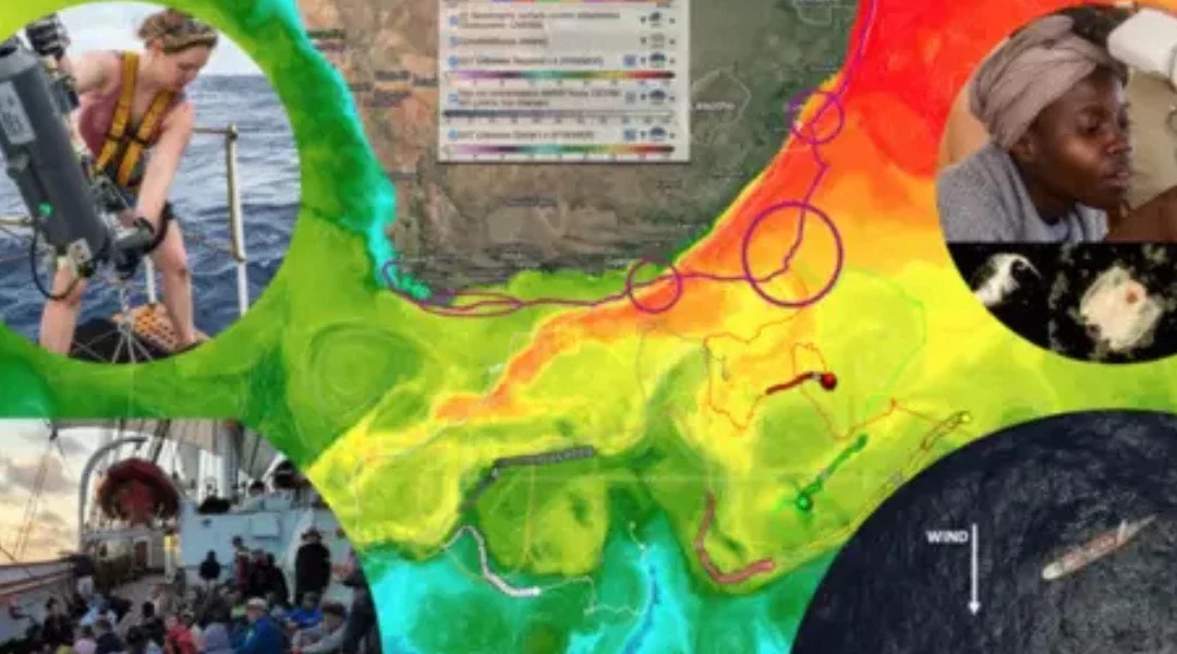 ESA Ocean Synergy Training Course 2025 (#OTC25) and the One Ocean Expedition (https://oceantrainingcourse2025.esa.int)